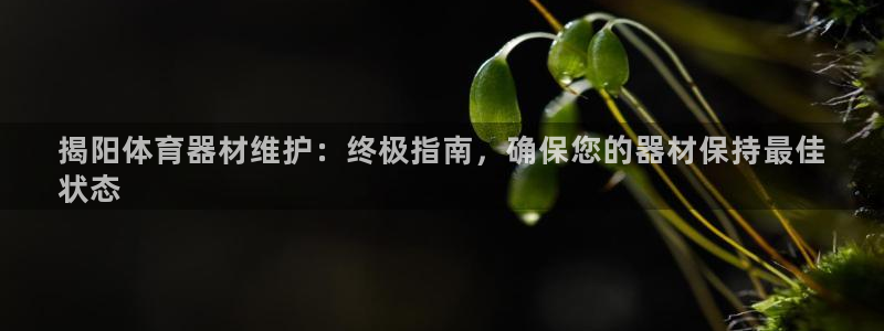 凯时kb88·中国官方网站：揭阳体育器材维护：终极指