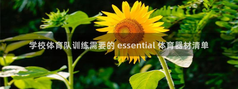 凯时平台登录：学校体育队训练需要的 essentia