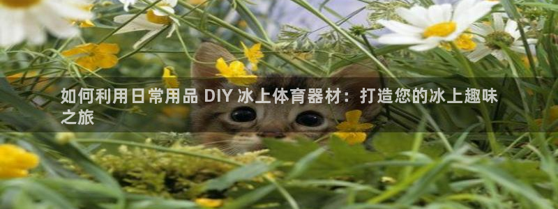 尊龙集团有限公司官网：如何利用日常用品 DIY 冰上